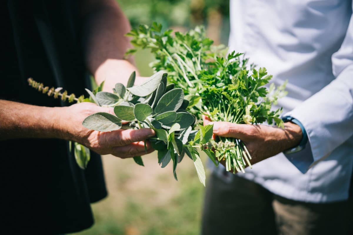Visites Gourmandes: Pick-your-own — photo 1