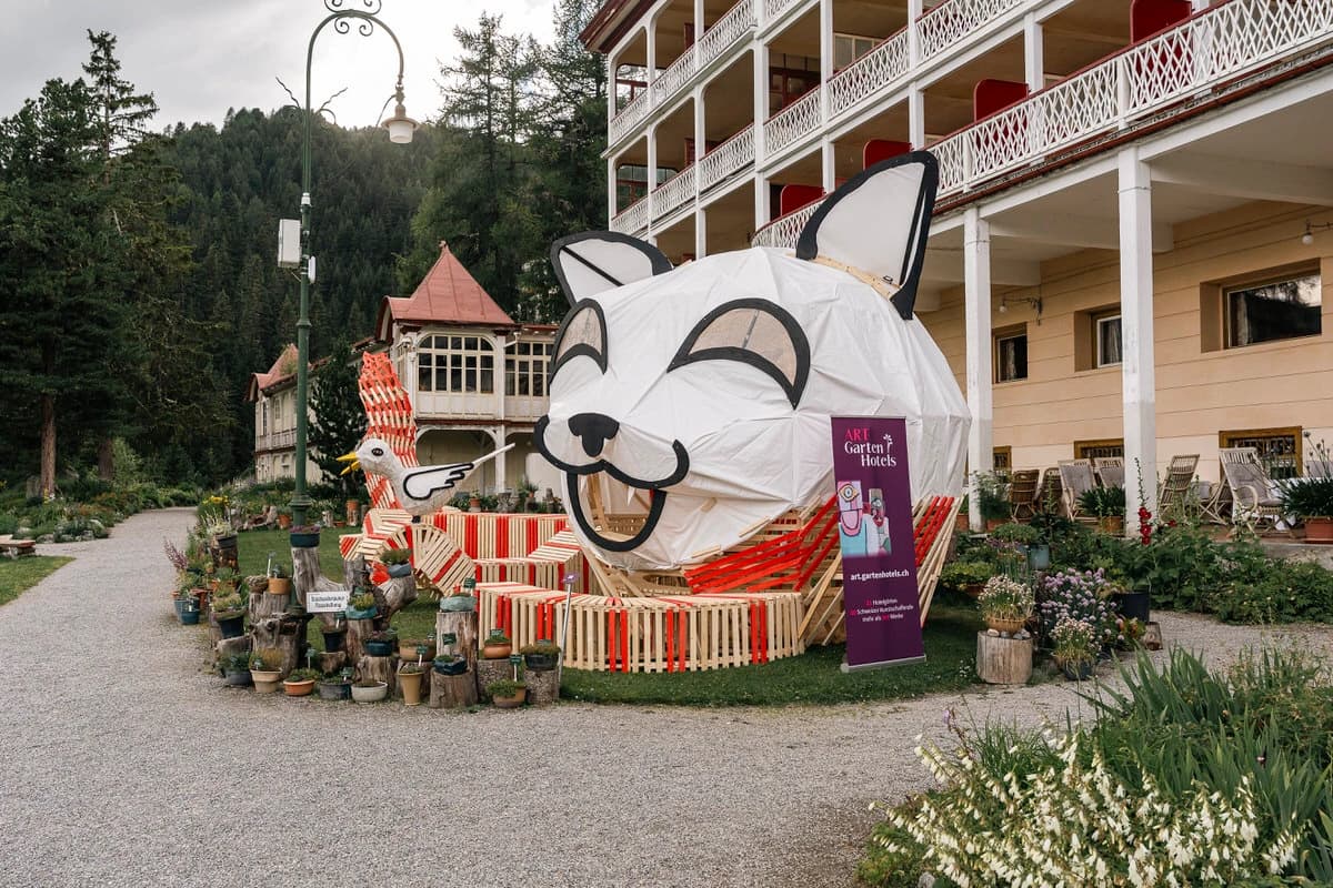 The Cat on Schatzalp - a Conversation with Pialeto — photo 1