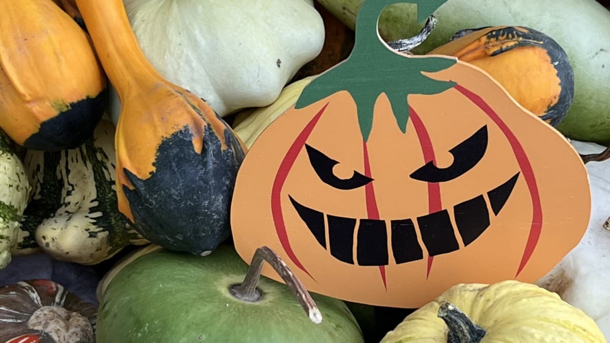 Autumn Lights, a "Halloween Spirit" Workshop — photo 1