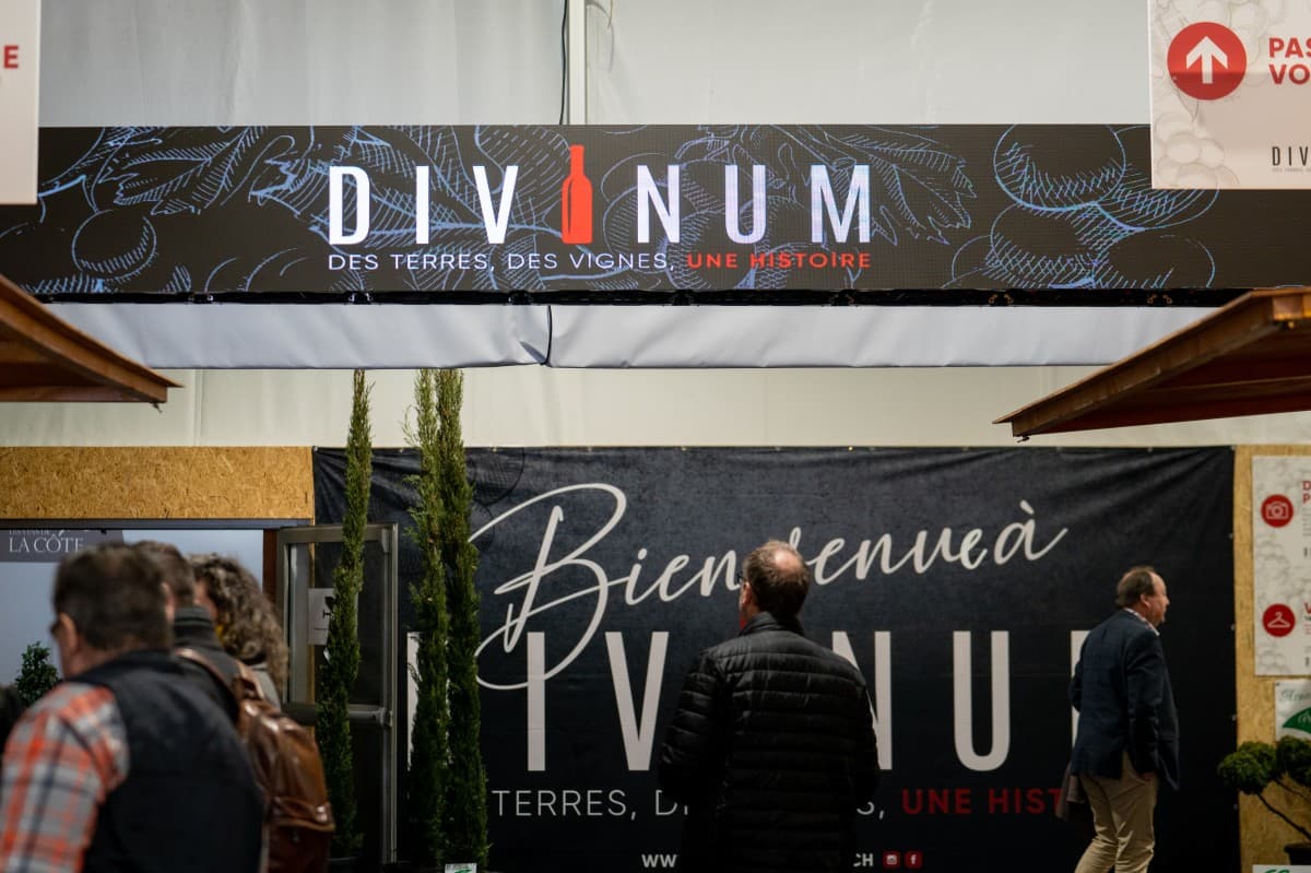 Divinum — photo 1