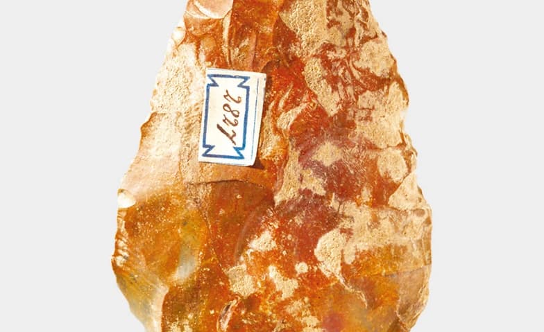 Archäologie Schweiz — photo 1