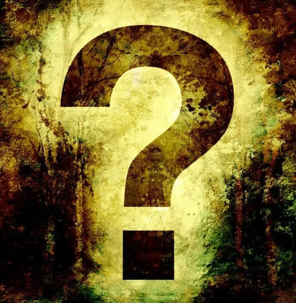 LIBRARY QUIZ — photo 1