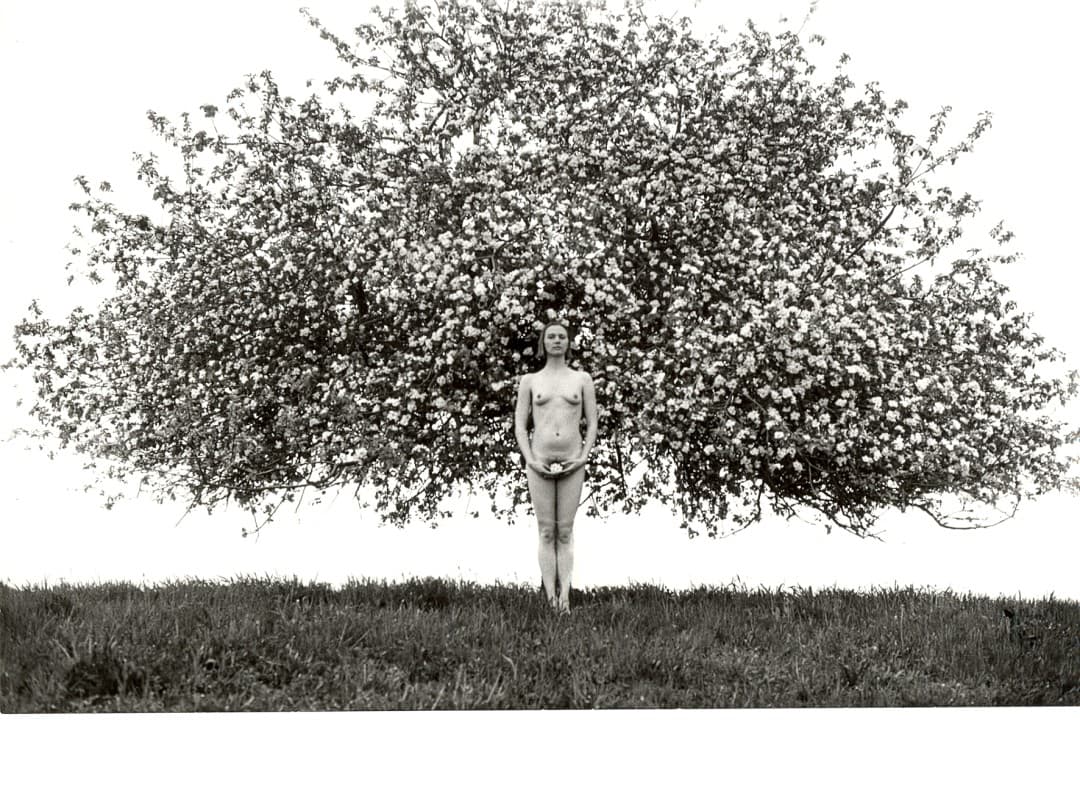 Tribute to Personality, Rostislav Košťál — photo 1