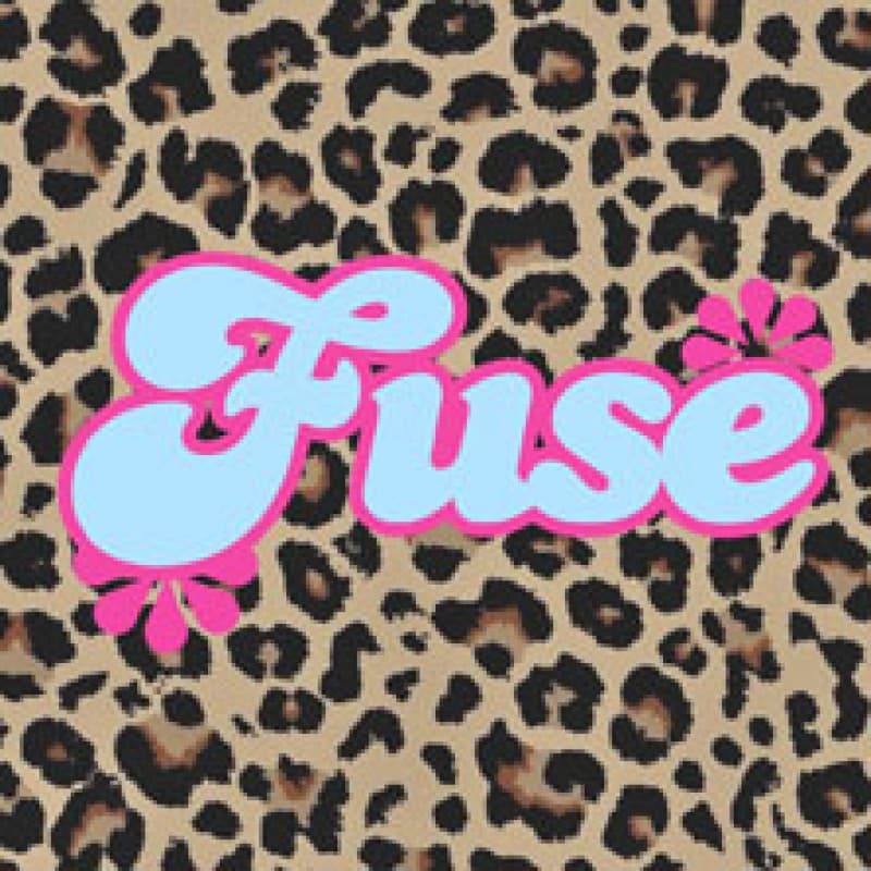 Fuse Party — photo 1