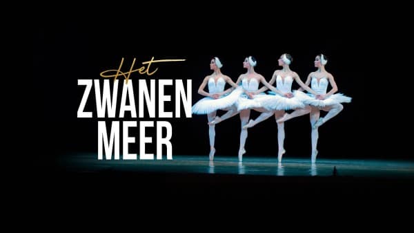 Swan Lake — photo 1