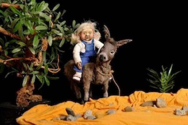 My Donkey Benjamin — photo 1