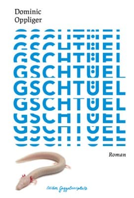 Reading by Dominic Oppliger from «Gschtüel» (Aris Verlag, 2026) — photo 1
