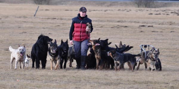 "The Sovereign Pack Manager" 2-Day Seminar with Katrin Scholz — photo 1