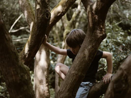 Thermi - Treasure Hunt & Nature Action — photo 1