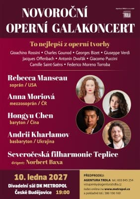 NEW YEAR'S OPERA GALA CONCERT — photo 1