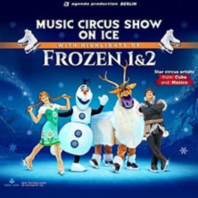 Ice Show with Highlights of FROZEN 1&2 — photo 1