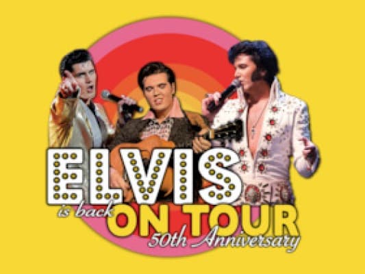 ELVIS is back on Tour — photo 1
