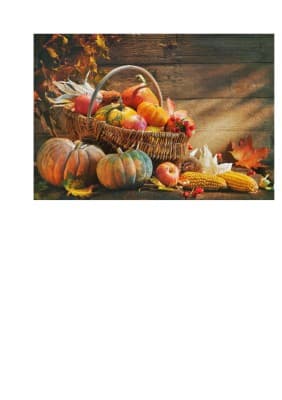 Autumn Festival — photo 1