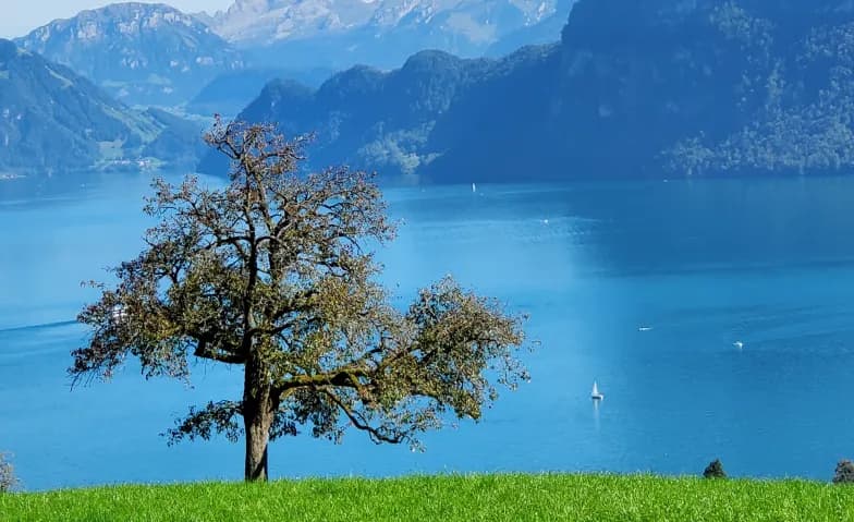 Wanderung für Seniorinnen und Senioren — photo 1