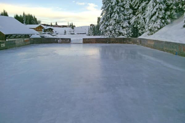 Ice Rink Fun — photo 1