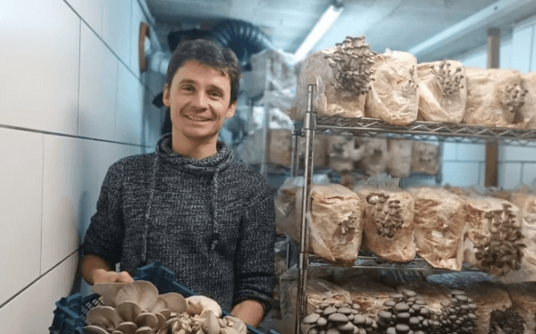 Mycology at Home: From Mycelium to Plate — photo 1