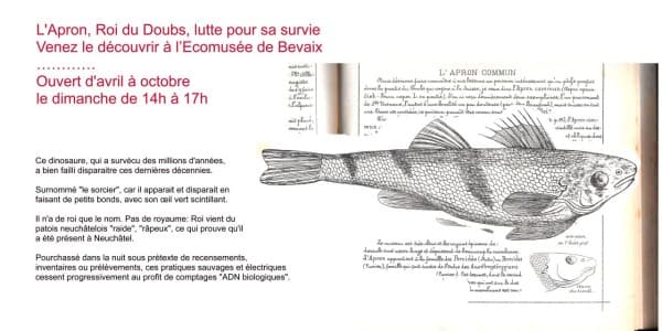 L’Apron - King of the Doubs — photo 1