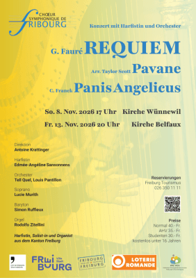 Concert with Harp and Orchestra – Wünnewil — photo 1