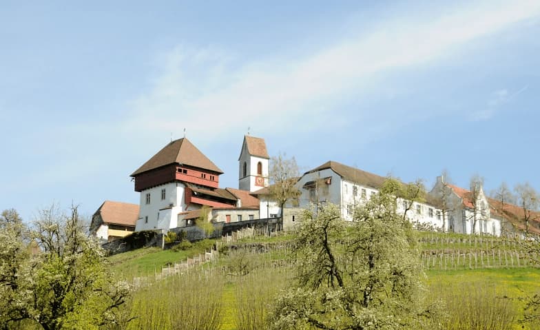 CastleClassics: Fünfter Konzertabend 2026 — photo 1