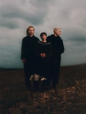 deary (UK) – «Birding» — photo 1