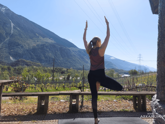 Yoga Retreat in the Vineyards of Salgesch — photo 1