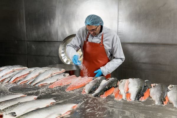 TCS Factory Tour Salmon Smoking House Dyhrberg — photo 1