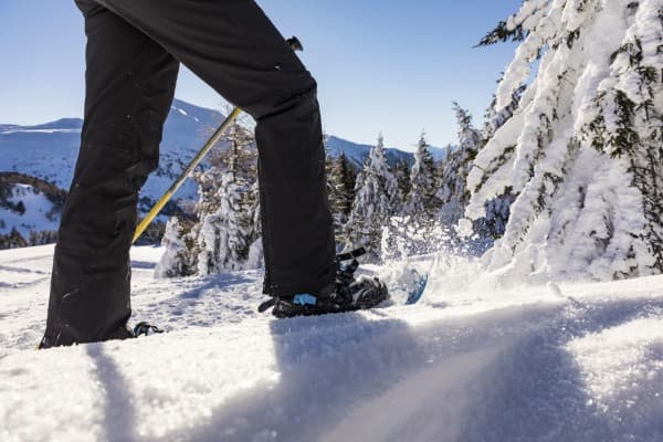 Thomi's Snowshoe Tours - to Alp Piänetsch — photo 1