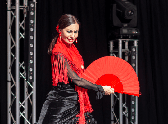 Flamenco, Dance & Movement — photo 1
