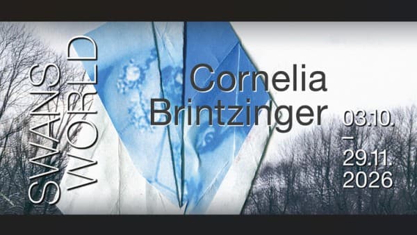 SWANS WORLD - Cornelia Brintzinger — photo 1