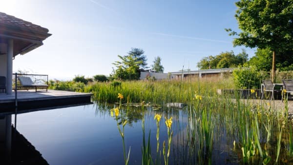 Swimming Pond Maintenance – Less is More — photo 1
