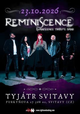 Reminiscence - Evanescence Tribute Band (ITA) — photo 1