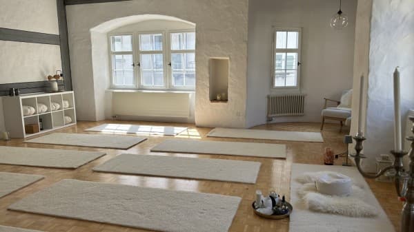 Yin Yoga Basic Course — photo 1