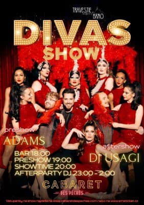 Travestie Cabaret Brno: Divas Show — photo 1