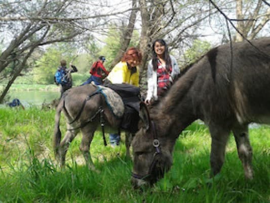 Donkey Hike & Wild Herb Tour with Oliver Haury — photo 1