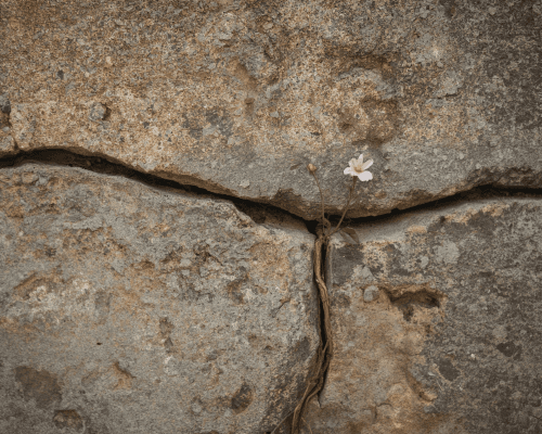 When Farewell Changes Life - Space for Grief — photo 1