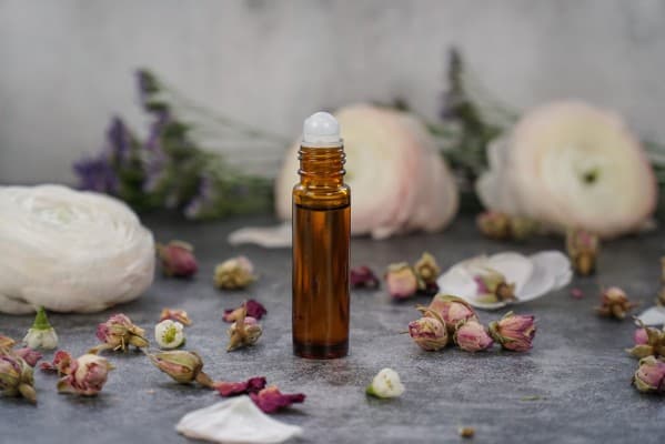 The Rose as a Medicinal and Aromatic Plant — photo 1