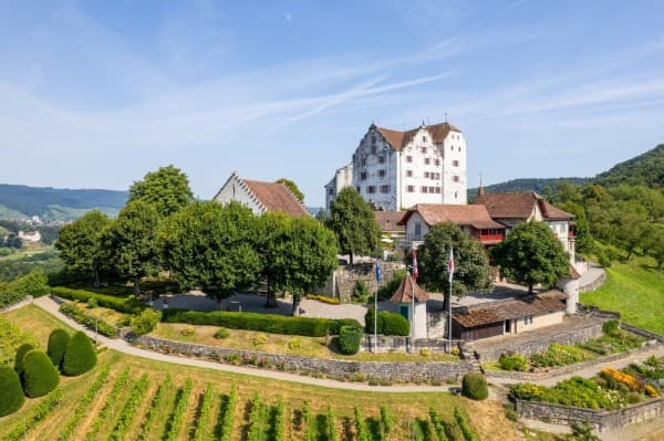 Schweizer Schlössertag — photo 1