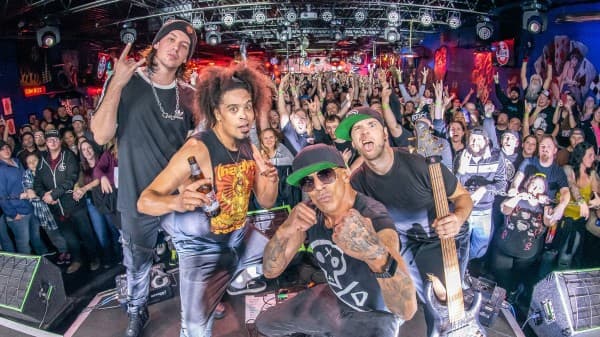 HED PE / COLD — photo 1