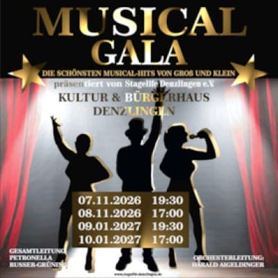 Musical Gala - The Most Beautiful Musical Hits for All Ages — photo 1