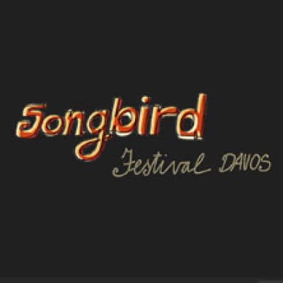 James Gruntz Songbird Festival Davos 2026 — photo 1