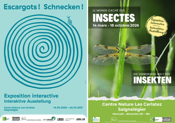 Insects and Snails: Two New Exhibitions at the Nature Center Les Cerlatez — photo 1