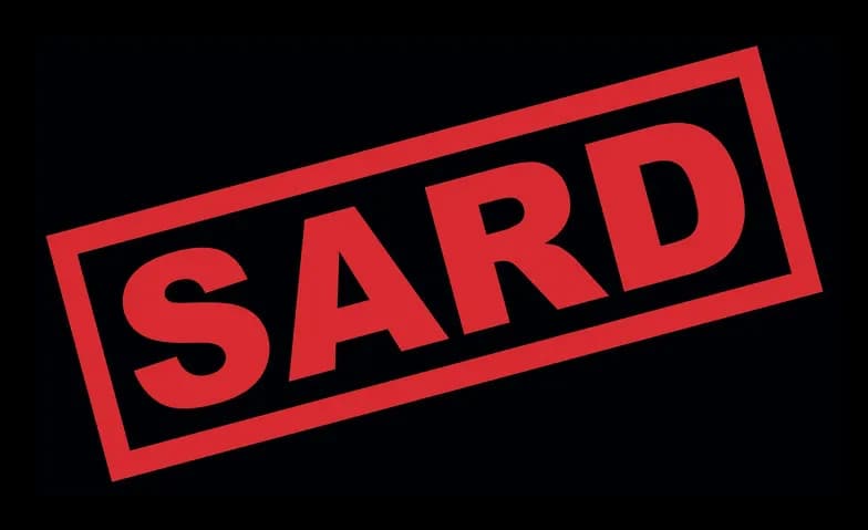 SARD & God in Therapy – Live in Concert + Afterparty Karaoke — photo 1