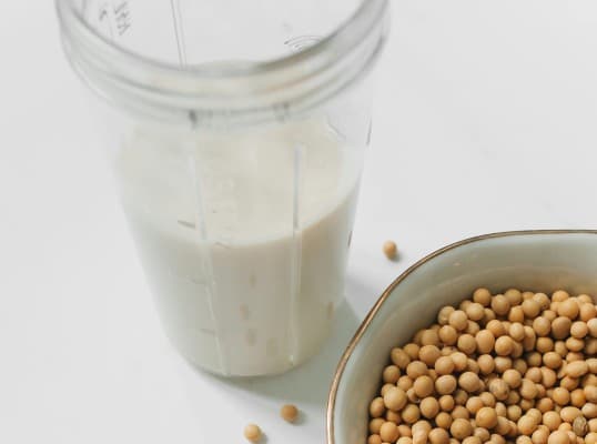 Make Your Own Plant-Based Cheese and Yogurt — photo 1