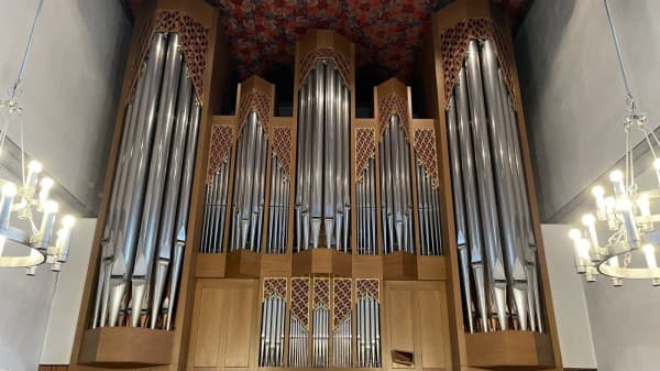 Organ Interpretation Course — photo 1