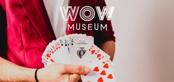 WOW Magic Nights — photo 1