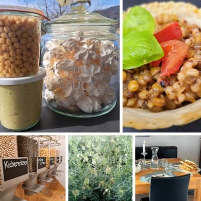 Legume Workshop — photo 1