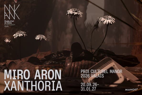 Miro Aron. Xanthoria — photo 1