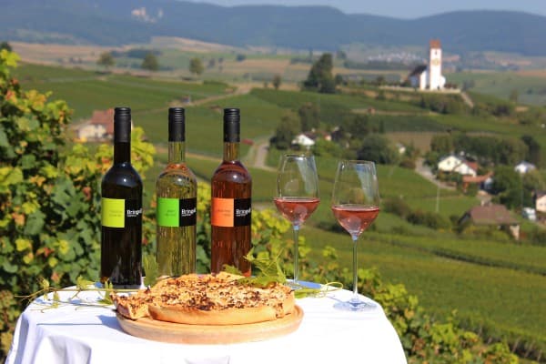 Autumn tasting Bringolf Weinbau — photo 1