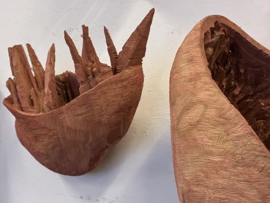 Tour with the artist Rochus Lussi — photo 1