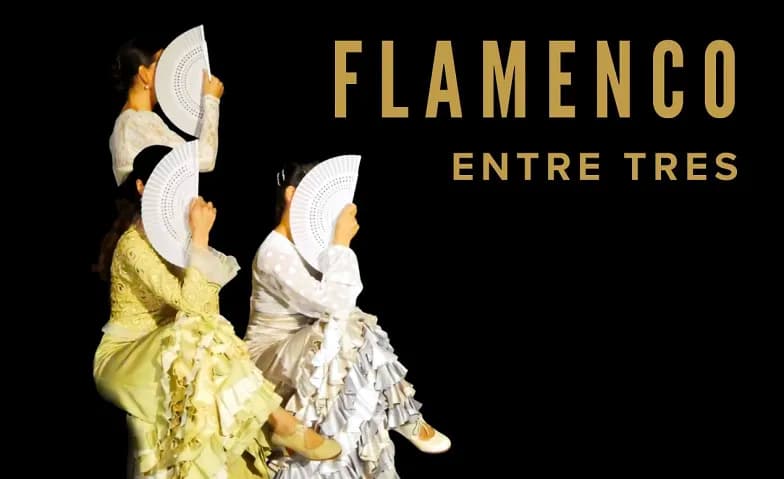 Flamencoaufführung Theater STOK — photo 1